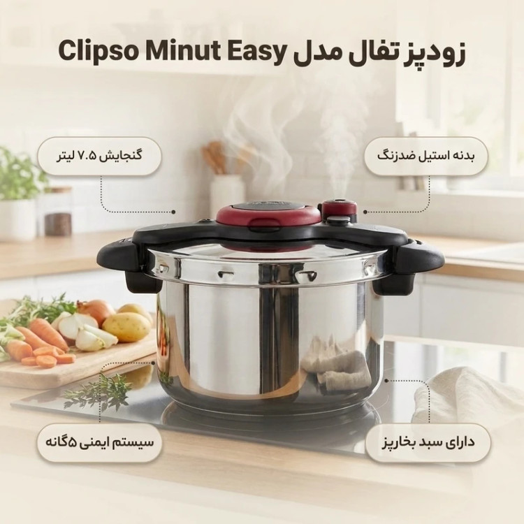 زودپز تفال مدل P4624866 _ Minut Easy ظرفیت 7.5 لیتر
