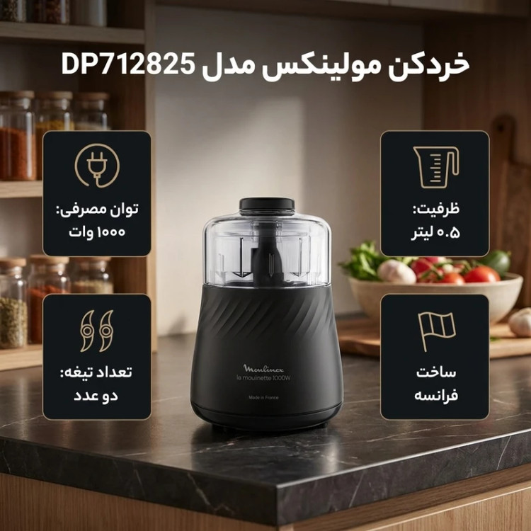 خردکن مولینکس مدل DP712